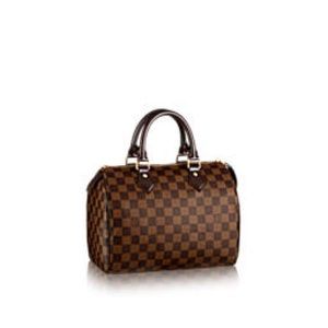Louis Vuitton Speedy 25 Damier handbag